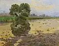 Arno Novák Zatopené pole (okolo 1905)
