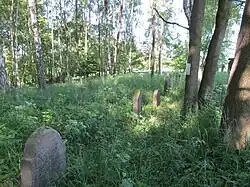 Židovský hřbitov v Arnoltově