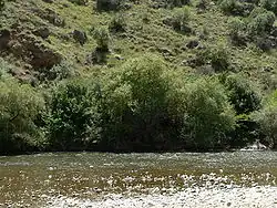 řeka v Ježegnadzoru