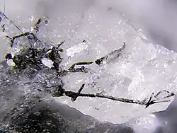 Krystal arsenolampritu