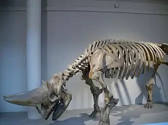 alternativní popis obrázku chybí