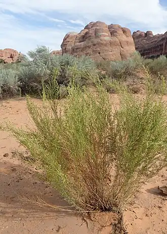 alternativní popis obrázku chybí