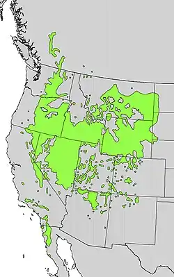 Areál rozšíření