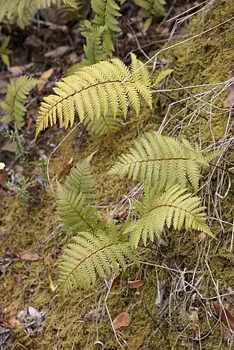 alternativní popis obrázku chybí