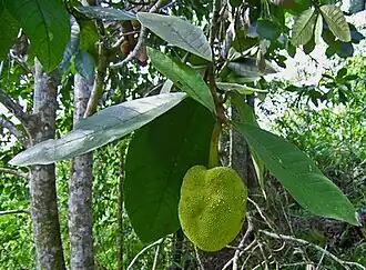 alternativní popis obrázku chybí