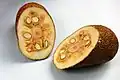 Rozkrojený plod chlebovníku celokrajného