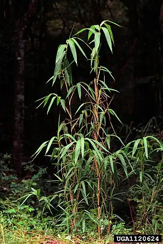 alternativní popis obrázku chybí