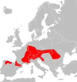 Rozšíření hryzce horského