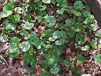 alternativní popis obrázku chybí