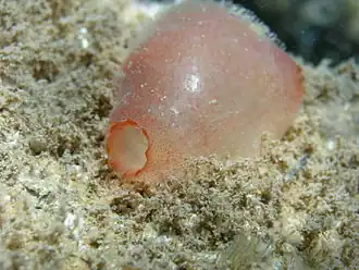 alternativní popis obrázku chybí