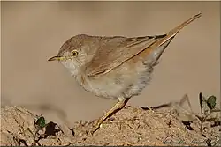 alternativní popis obrázku chybí