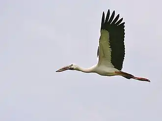 alternativní popis obrázku chybí