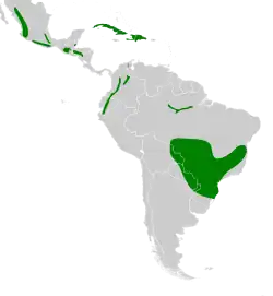 Areál rozšíření
