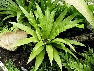 alternativní popis obrázku chybí