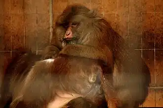 alternativní popis obrázku chybí