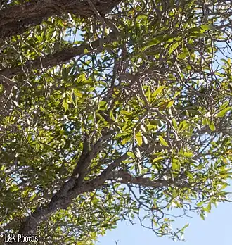 alternativní popis obrázku chybí