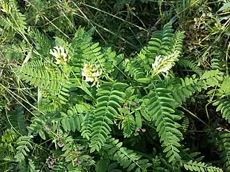 alternativní popis obrázku chybí