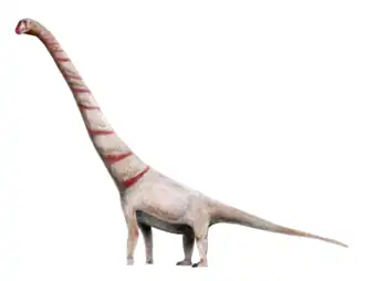 popis obrázku chybí