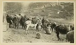 Na srbské frontě, Národní muzeum zdraví a medicíny