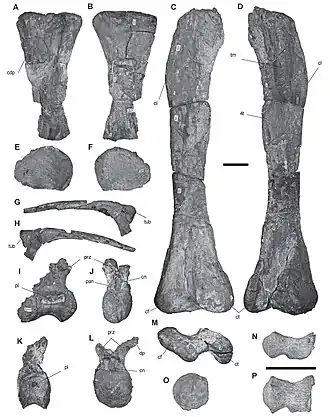alternativní popis obrázku chybí