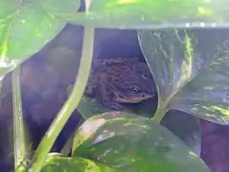 popis obrázku chybí