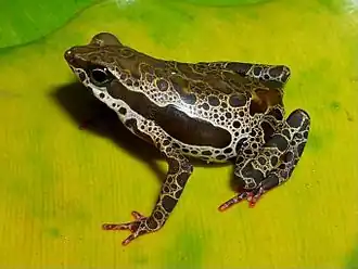 alternativní popis obrázku chybí