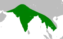 Areál rozšíření