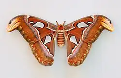 alternativní popis obrázku chybí