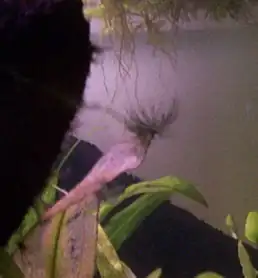 alternativní popis obrázku chybí