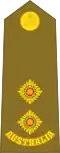 Lieutenant
