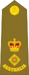 Lieutenant Colonel