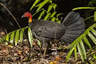 alternativní popis obrázku chybí