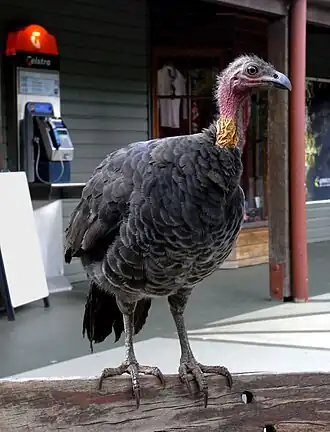 alternativní popis obrázku chybí