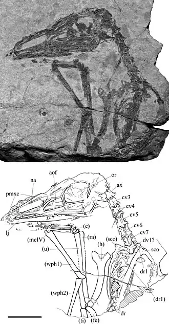 popis obrázku chybí