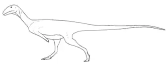 popis obrázku chybí