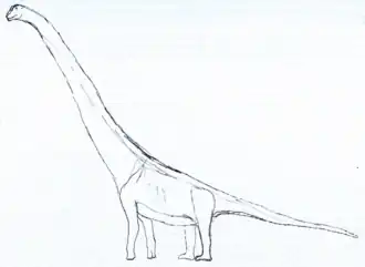 popis obrázku chybí