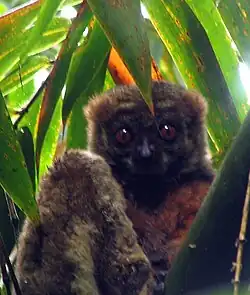 alternativní popis obrázku chybí