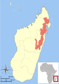 rozšíření avahiho vlnatého