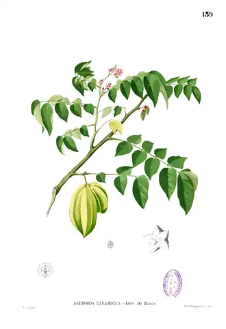 alternativní popis obrázku chybí