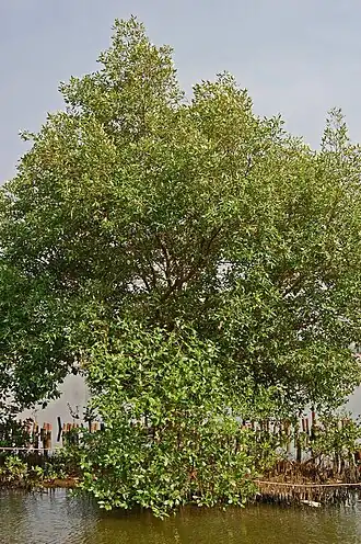 alternativní popis obrázku chybí