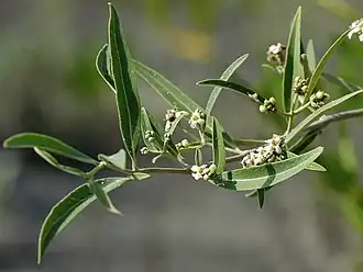 alternativní popis obrázku chybí