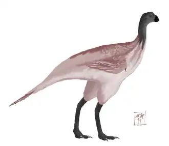 alternativní popis obrázku chybí