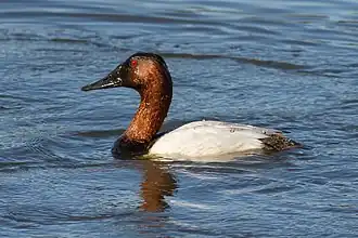 alternativní popis obrázku chybí