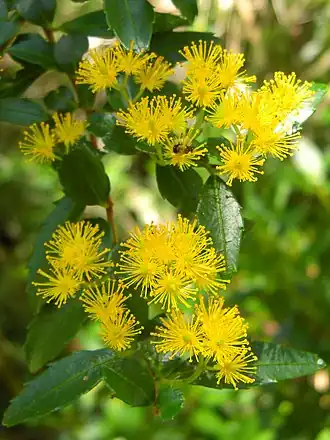 alternativní popis obrázku chybí