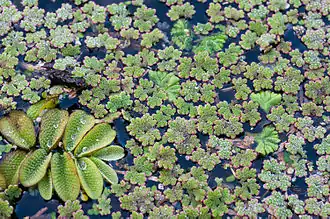 alternativní popis obrázku chybí