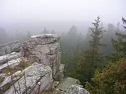 Bílá skála u Příchovic