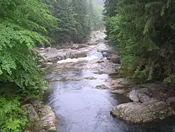 Peřeje na Bílém Labi