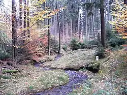 Bílý potok na státní hranici