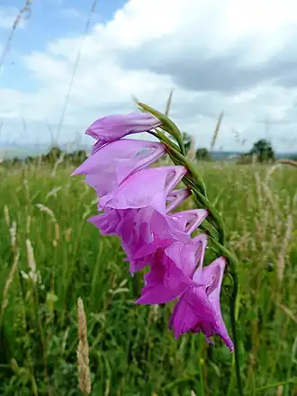 alternativní popis obrázku chybí