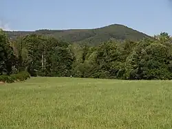 Pohled z Bílého Potoka